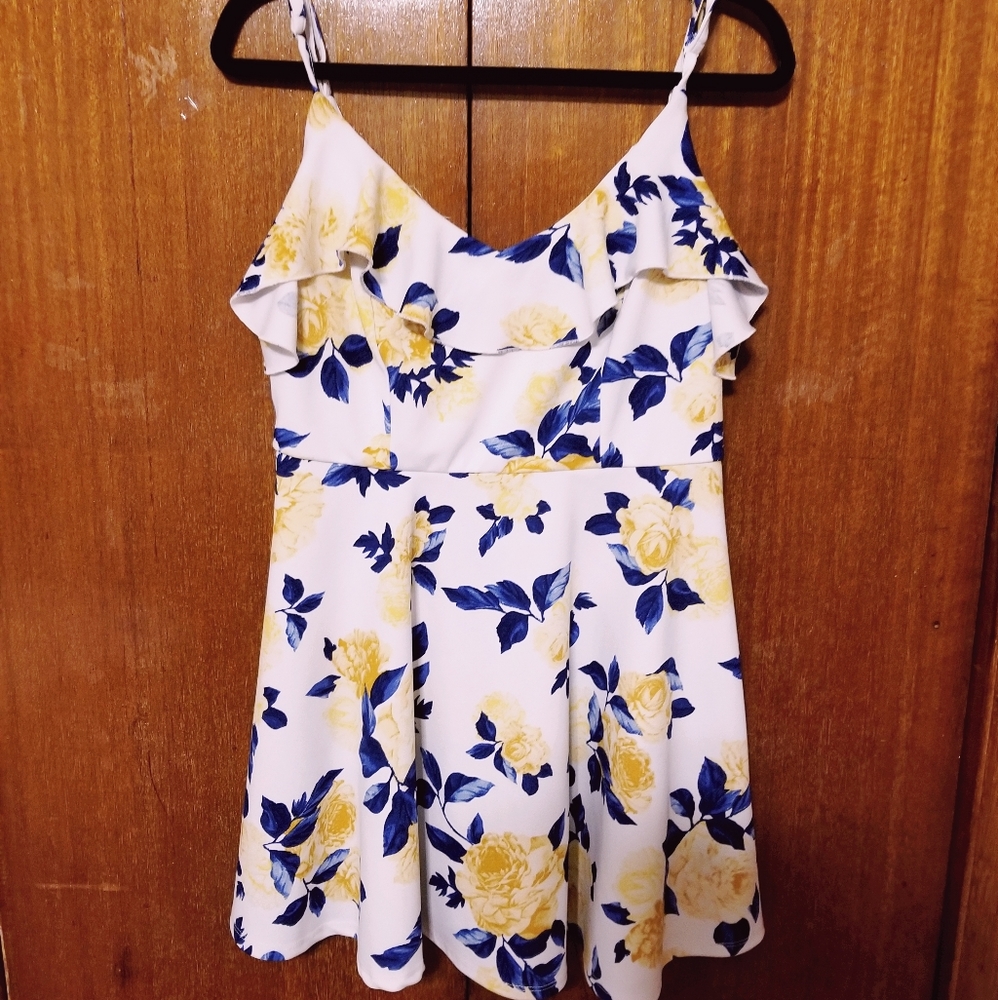 Trixxi Floral Skater Dress